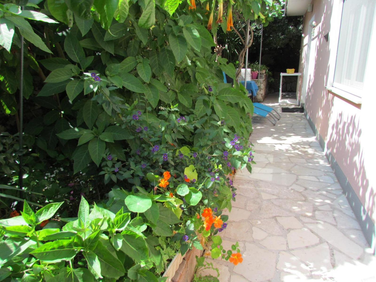 Apartments Bura & Jugo, Cres, Without Stress 외부 사진